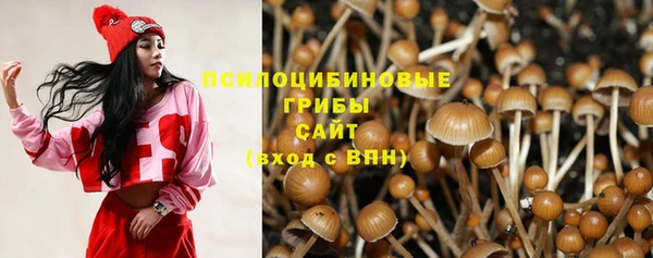 метадон Новодвинск