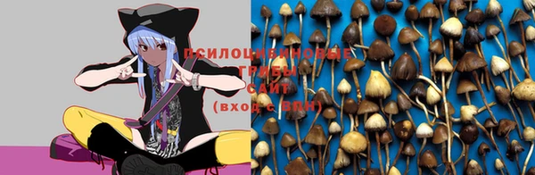 гашиш Новозыбков