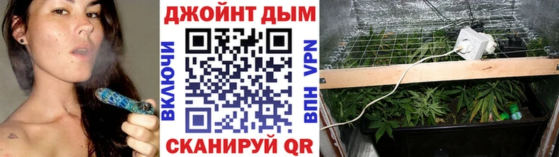 МАРИХУАНА семена Колпашево